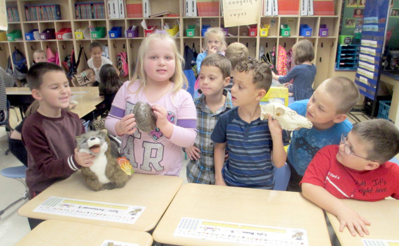 CAMP FIRE PROGRAM
